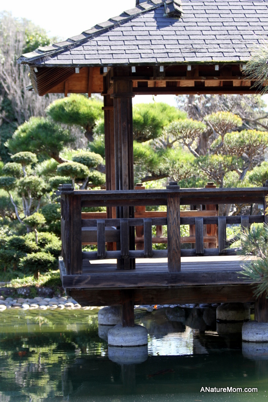 Hayward Japanese Gardens 026